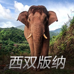 世体评弗里克：注重细节+追求卓越，甚至把控球员食用鸡蛋的质量